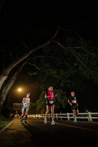 BIB: 
                            <button type="button" onclick="openModal(26553597)" class="btn btn-primary btn-sm float-right btn-popup" data-toggle="modal" data-target=".modal-high-quality">
                        <i class="fas fa-shopping-cart"></i> Add to Cart
                    </button>
                                            <button type="button" onclick="isThisMe(26553597, true)" class="btn btn-success btn-sm float-right btn-popup btn-isme hidden" data-toggle="tooltip" data-placement="bottom" title="นี่คือรูปของคุณใช่ไหม คลิกที่นี่เพื่อเอาเข้าอัลบั้ม">
                        <i class="fas fa-plus"></i> Add to album
                    </button>
                    <button type="button" onclick="isThisMe(26553597, false)" class="btn btn-warning btn-sm float-right btn-popup btn-isnotme hidden">
                        <i class="fas fa-ban"></i> Remove from album
                    </button>